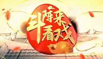 《驸马闯宫(3)斗阵来看戏》片段
