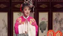 芗剧《芗剧-五女拜寿2》全场