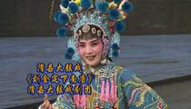滑县大弦戏《刘金定下南唐》