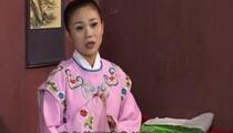 庐剧《庐剧-癞蛤蟆想吃天鹅肉》2