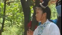 庐剧《庐剧·杨排风大战北国》第6本(完)