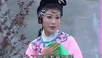 庐剧《庐剧-傻子娶老婆》